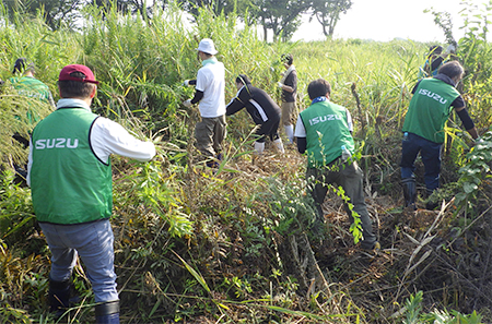 外来植物除去活動の様子