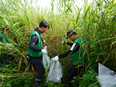 外来植物除去活動の様子