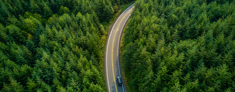 Promotion of Sustainability