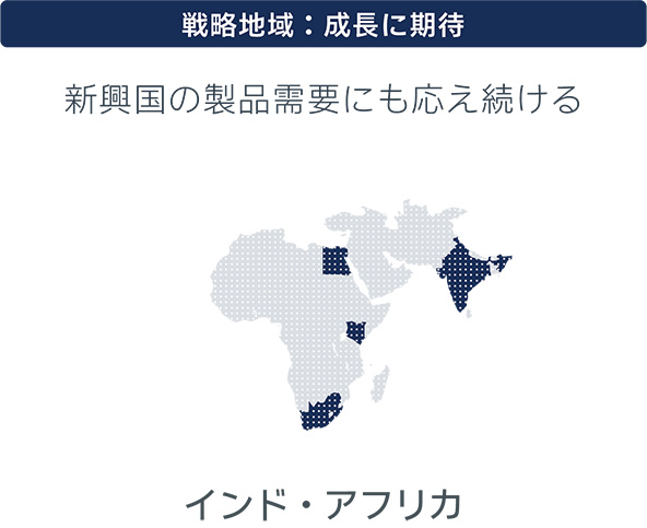 戦略地域：成長に期待 新興国の製品需要にも応え続ける インド・アフリカ