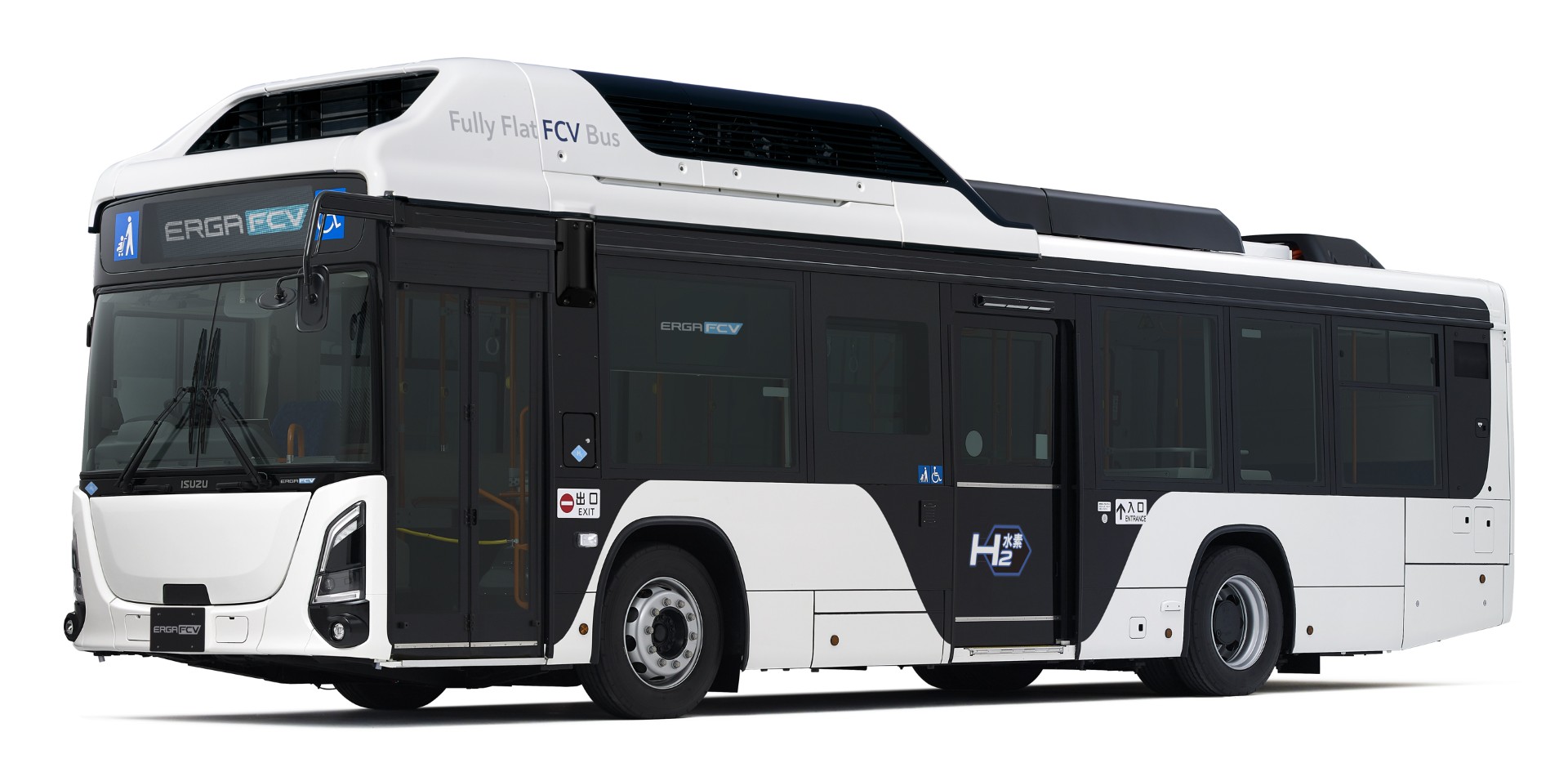 ERGA FCV