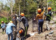 Participated in the 2019 Mt. Fuji Forestation Project
