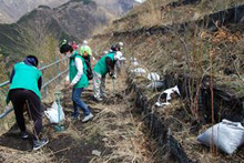 Participated in Local Ecosystem Conservation Activities